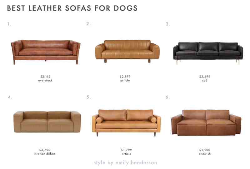 Best Dog Friendly Furniture